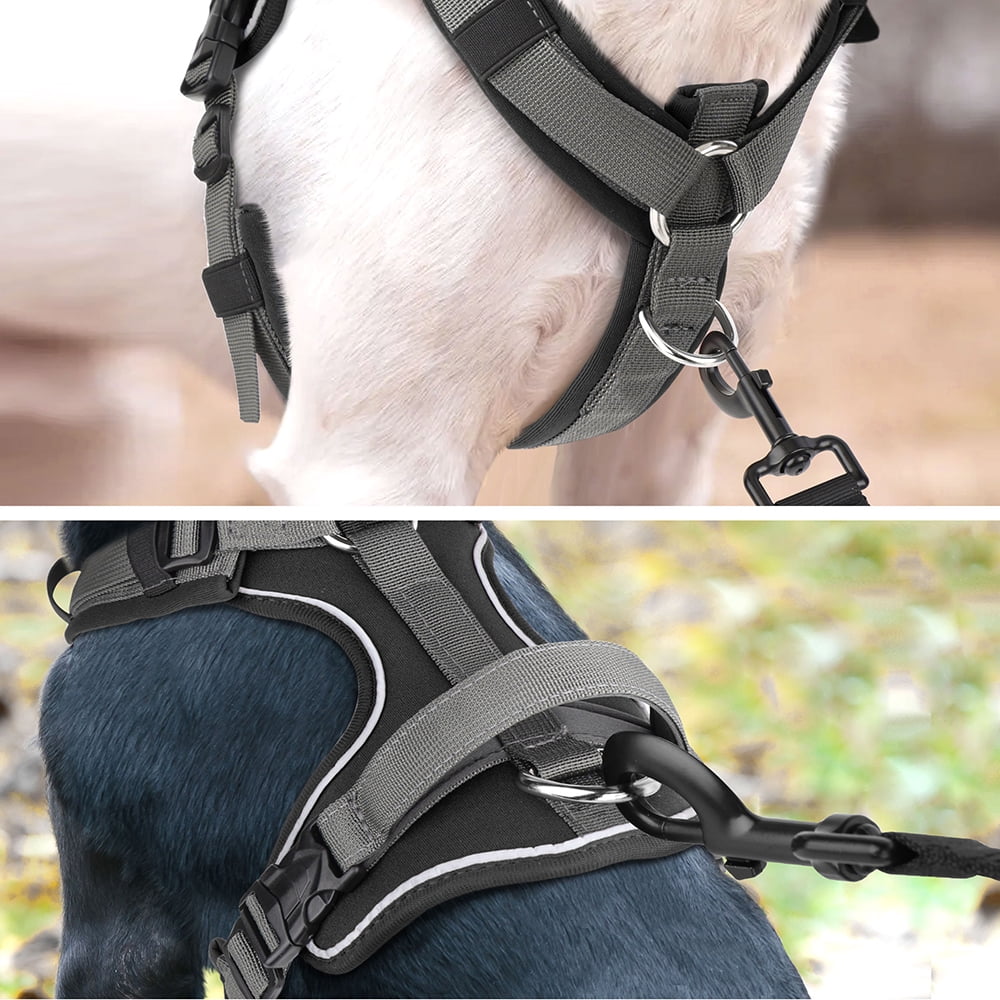 Beirui Reflective No Pull Dog Harness Soft Padded Adjustable Training Vest With Handle & 2 Leash Clips
