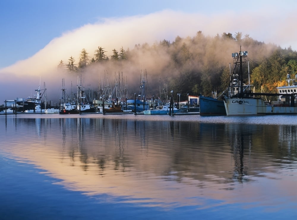 Boats dock at Winchester Bay; Oregon, United States of America Poster