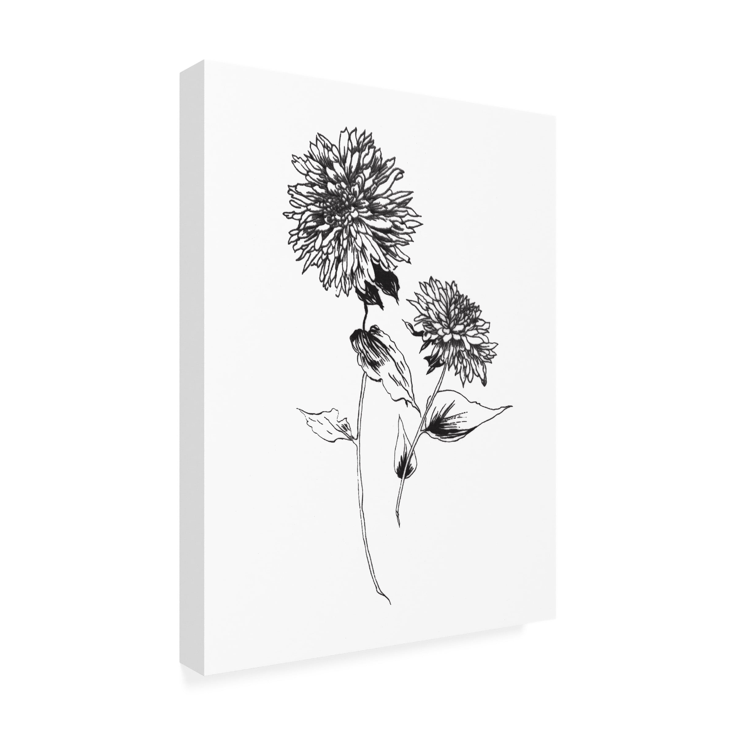 Trademark Fine Art 'Sketchbook Flowers on White IV' Canvas Art by Wild Apple Portfolio