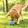 thumbnail image 5 of AuroraX Dog Toys for Small Dogs Balls Soft Dog Toy for Fetch Durable Colorful Interactive Squeaky Dog Toys for Outdoor Play Blue National Dog Day International Cat Day, 5 of 7