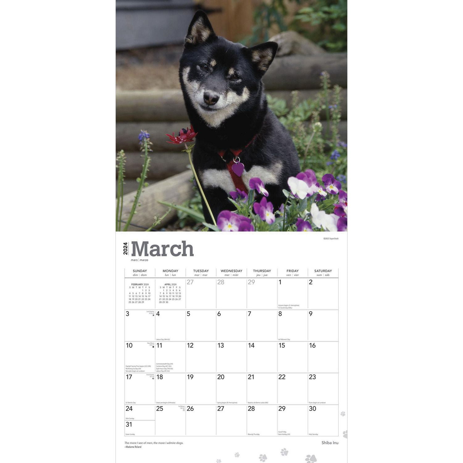 BrownTrout Shiba Inu 2024 Mur Carré 30.48x60.96 CM, 9781975465001
