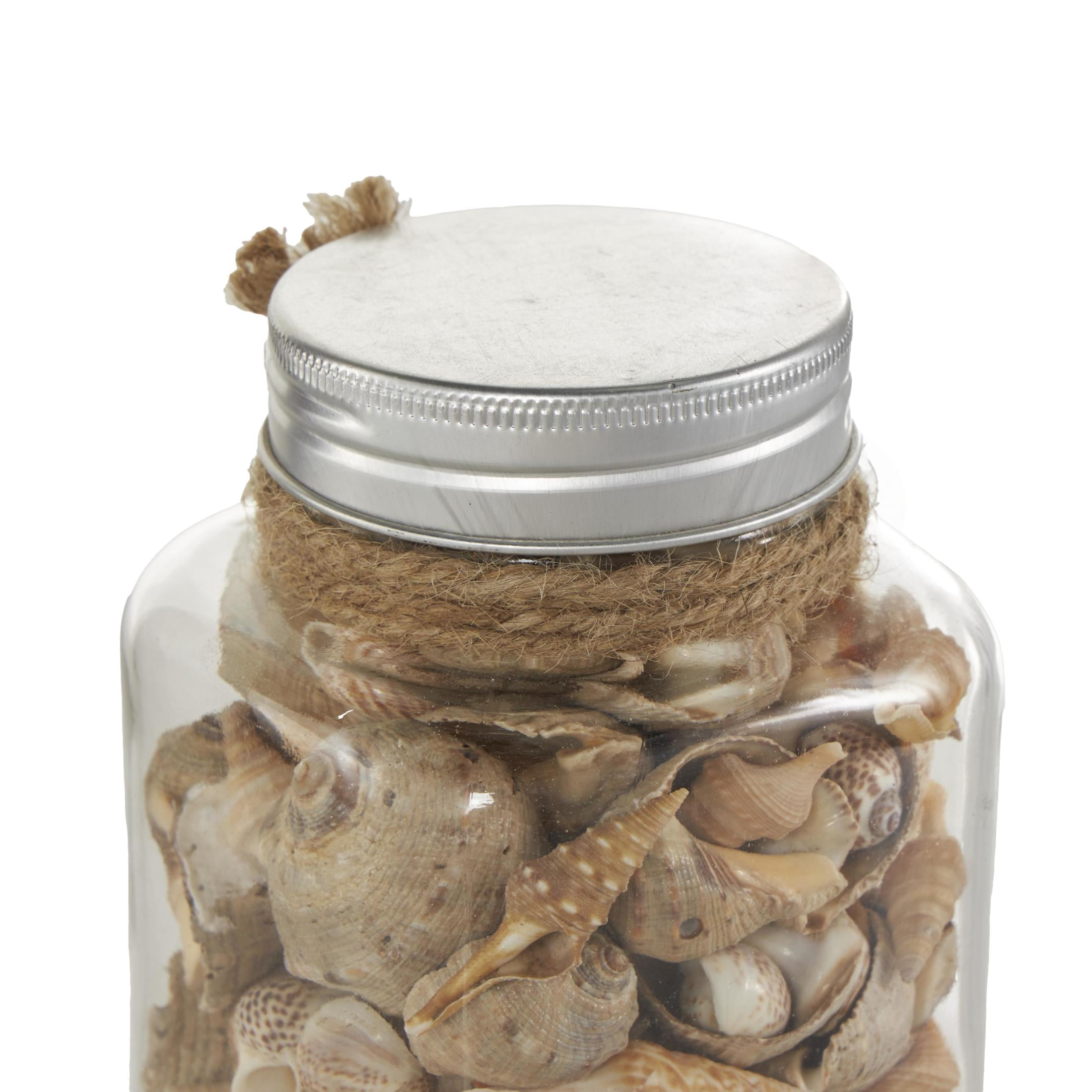 DecMode Clear 3" Glass Orbs & Vase Filler with Seashells and Jute Rope Accents (3 Count)