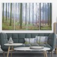 thumbnail image 1 of Autumn Tree Trunks Panorama - Oversized Forest Canvas Artwork, 1 of 3