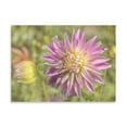 thumbnail image 2 of Gango Home Decor Garden Dahlias by George Johnson (Printed on Paper); One 24x18in Fine Art Paper Giclee Print, 2 of 4