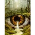 thumbnail image 1 of Pintura de diamante (DB6535) Bosque de ojos 5D Kit de bricolaje Resina Cuadrado Arte de la pared del hogar 50x70cm FLhrweasw Nuevo, 1 of 1