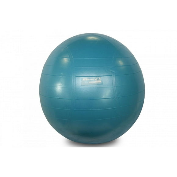 MD Buddy Exercise Ball 65 cm Blue with Pump
