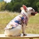 thumbnail image 5 of Camisa Hawaiana para Mascotas, Elegante Estampado de Árboles Playeros, Tela Ligera y Transpirable, Cómoda para Perros y Gatos Pequeños y Medianos, Ideal para Temporadas Cálidas, Talla Xs, Fácil de Li, 5 of 6