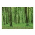 thumbnail image 1 of Forest Cutting Board, Spring Forest in a Sunny Day Fresh Soft Colors Like a Dream Leaf Peace Theme Print, Decorative Tempered Glass Cutting and Serving Board, Small Size, Green Brown, by Ambesonne, 1 of 1