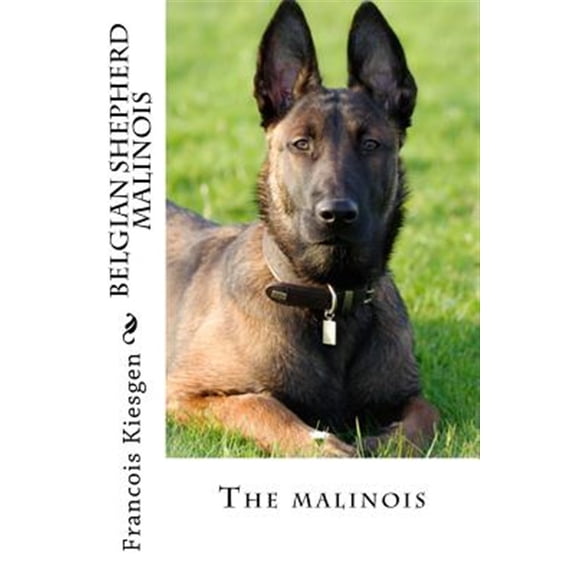 Belgian Shepherd Malinois