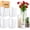 16 Pack (4,6,8,10 Inch ), variant on PETGLE Glass Cylinder Vase Sets 16 Pack Tall Clear Flower Vase Hurricane Floating Candle Holder for Table Centerpiece Wedding Home Décor(2.17 x 4IN + 2.56 x 6IN + 3.15 x 8IN + 3.55 x 10IN)