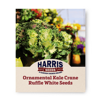 Harris Seeds - White Ornamental Kale Crane Ruffle Seeds - 100 Seeds