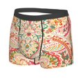 thumbnail image 2 of Daiia Indian Paisley 1 Men's Underwear Boxer Briefs, Cotton Stretch Moisture-Wicking Underwear-XX-Large, 2 of 9