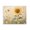 Sunflower Meadow Butterflies Floral, variant on Stupell Industries French Country Sunflower Wonder Floral Meadow Black Floating Frame Canvas Art, 21 x 17, by Petals Prints Design