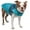 Blue, variant on Touchdog ® Lightening-Shield 2-in-1 Dual-Removable-Layered Waterproof Dog Jacket