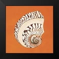 thumbnail image 2 of Shelby, Judy 20x20 Black Modern Framed Museum Art Print Titled - Cayman Quartet B, 2 of 5