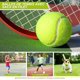 thumbnail image 2 of lote De 18 Balles De Tennis, Avec Sac De Transport En Filet, Idales Pour L'entranement, Le Tennis, Les Machines Balles Et Galement Comme Quipement, 2 of 5