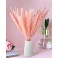 thumbnail image 6 of Coolmade 45-Piece, 17" Earth Cocoa Pink Boho Decor for Dried Pampas Grass, 6 of 7