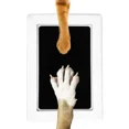 thumbnail image 2 of almohadilla segura, no tóxica, huellas de bebé, ducha para recién nacido, huella de mano, fácil bricolaje, tacto limpio, recuerdo de mascota sin tinta, 2 of 5