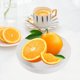 thumbnail image 2 of Whisker Fatigue Bowl Shallow Pet Food Dish Anti Vomit Slow Feeder Tray for Cats Kittens Short Legged Breeds and Small Dogs with Sensitive Whiskers, 2 of 6