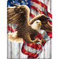 thumbnail image 3 of Cuadros Decorativos 5D Full Round Drill Diamond Painting USA Eagle Kits Picture Rhinestones Craft Ehuebsd Nuevos Originales, 3 of 9
