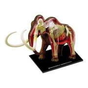 4D Wolly Mammoth Anatomy Model, by 4D Master