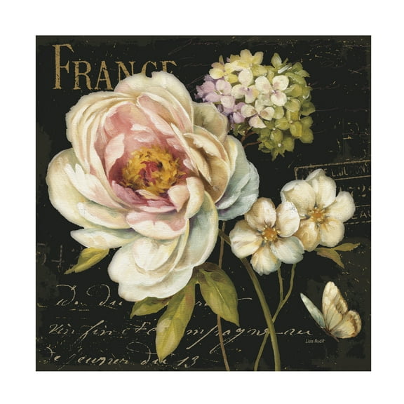 Trademark Fine Art Lisa Audit Marche de Fleurs on Black Canvas Wall Art - 35x35