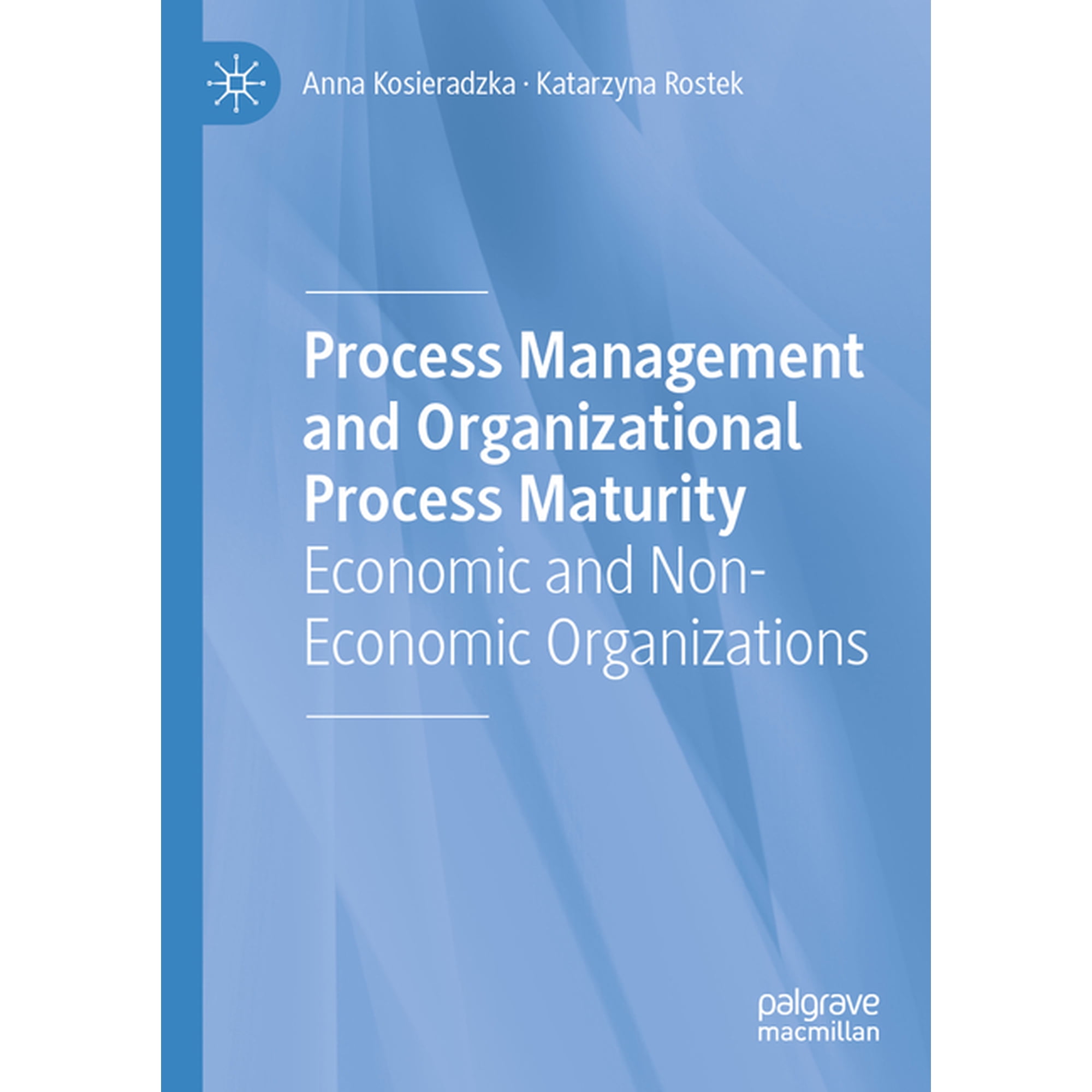 Process Management and Organizational Process Maturity: Economic and Non-Economic Organizations (Paperback)