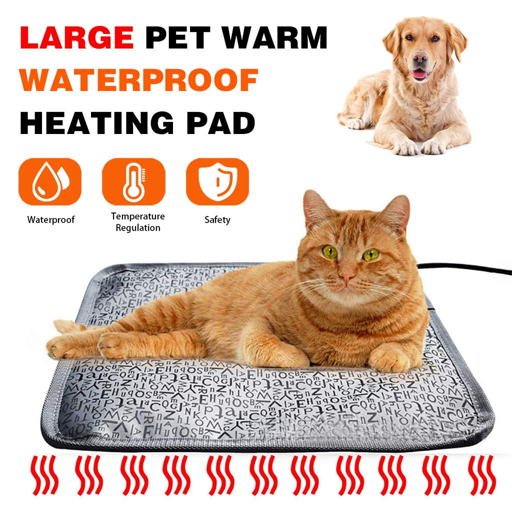 cats and heating pads