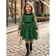 thumbnail image 4 of Sunny Fashion Girls' Long Sheer Sleeve Peter Pan Collar Plaid Tulle Green Dress, 4 of 8