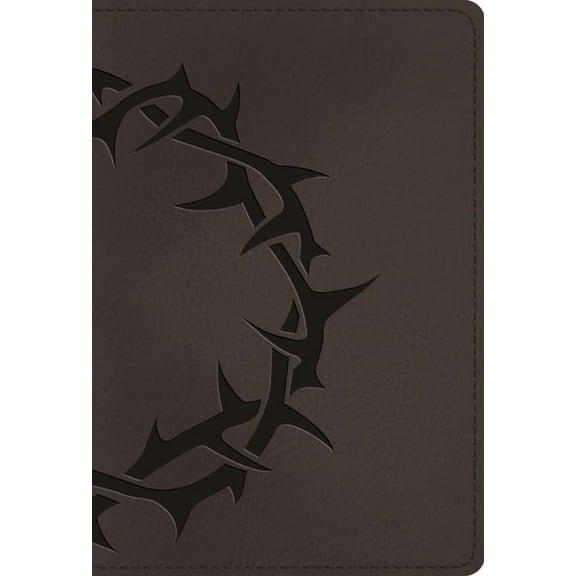 ESV Large Print Compact Bible, Book