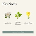thumbnail image 3 of Difusor Reed LAFCO New York Signature Fresh Cut Gardenia, 450 ml, 3 of 6