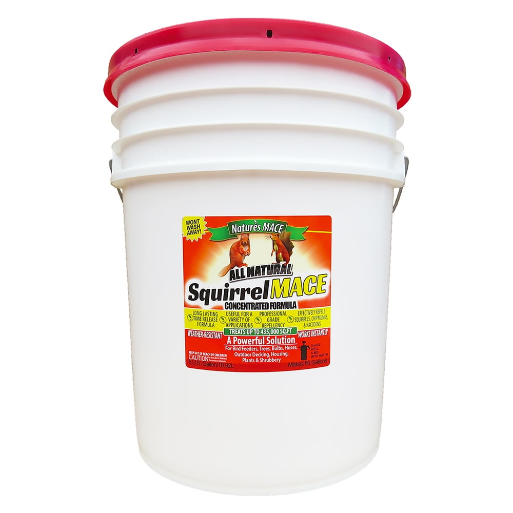 Nature's MACE SQUCON9005 Squirrel Repellent Concentrated Formula Treats