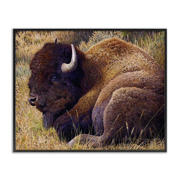 Stupell Industries Relaxing Young Bison Animals Painting Black Framed Art Print Wall Art, 14 x 11