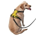 thumbnail image 2 of Balery Yellow Glitter Arnés para Perros Grandes Antitirones, Arnés con Correa para Gato, Arnés Tipo Chaleco para Perros Pequeños-Large, 2 of 6