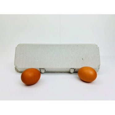 100 Solid top Non-Printed Dozen Egg Cartons