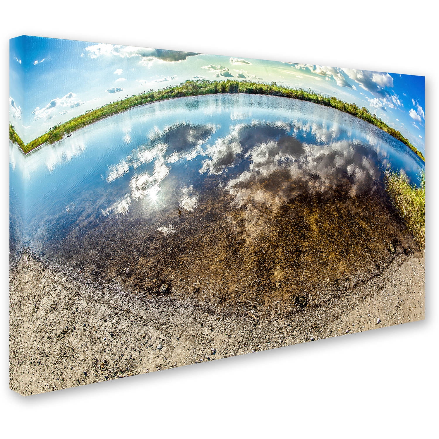 Trademark Fine Art "Earth Eyeball" Canvas Art by Yale Gurney