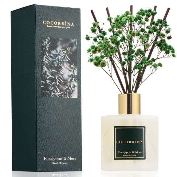 COCORRÍNA Eucalyptus & Moss Reed Diffuser Set, 6.7 fl oz Glass Bottle with Dried Flower, Long Lasting Home Fragrance for Bedroom, Bathroom, Office, Gift