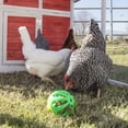 thumbnail image 3 of Ware Manufacturing Peck N Play Juguete de bola de pollo (3 bolas), 3 of 3