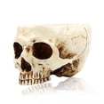 thumbnail image 1 of Decoración de Halloween de RMM: Maceta floral con cabeza de cráneo humano retro, 1 of 3