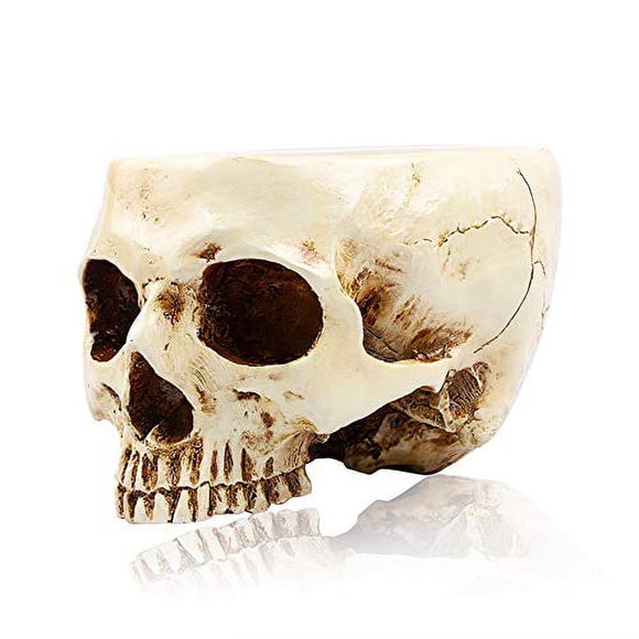 Decoración de Halloween de RMM: Maceta floral con cabeza de cráneo humano retro