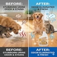 thumbnail image 2 of Pet Floor Cleaner – Enzyme Powered Odor Eliminator. Floor Cleaner for Mopping – Removes Urine & Stains – Deep Cleaner for Floors & Grout – Commercial-Grade Concentrate, 2 of 4