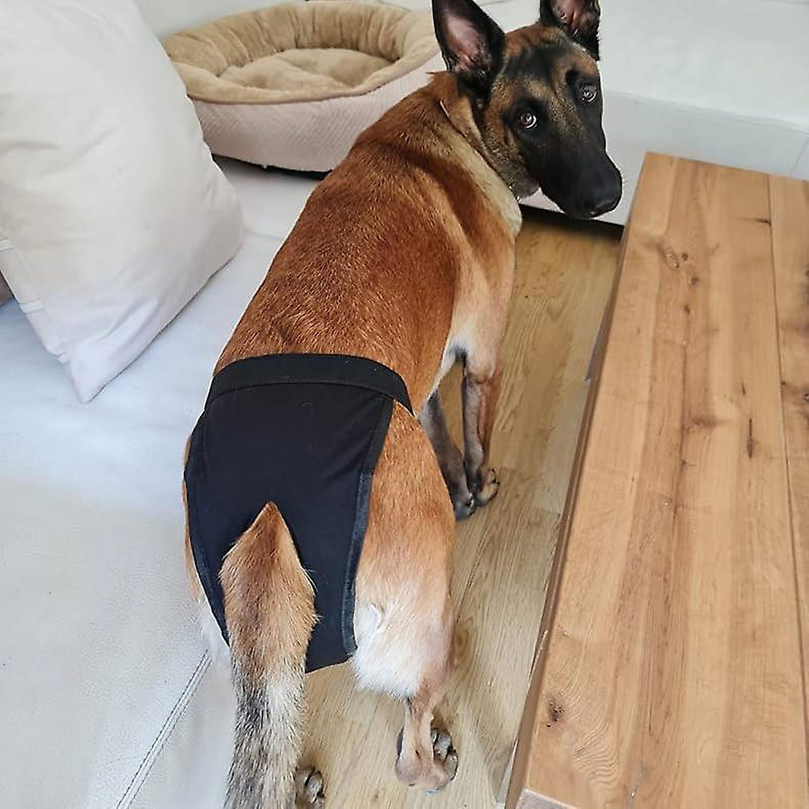 L Dog Sanitary Panties Female 2PCS Dog Pants Dog Nappies with 6 Pcs Diaper Adjustable Sanitary Briefs for Small Dogs Sanitary Pads Black Beige S