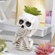thumbnail image 1 of Macetas de flores con forma de calavera para Halloween, adornos decorativos, macetas de exterior pintadas a mano con la frase "No escuches, no digas, no veas"., 1 of 5