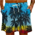 thumbnail image 4 of Aloohaidyvio George Mens Summer Hawaiian Beach Surf Pants With Pockets Quick Dry Sports Drawstring Shorts, 4 of 6