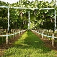 thumbnail image 3 of Bird Scare Tape Ribbon Laser Bird Control Keep Birds Away From Garden Houses, Trees, Swimming Pools, 3 of 5
