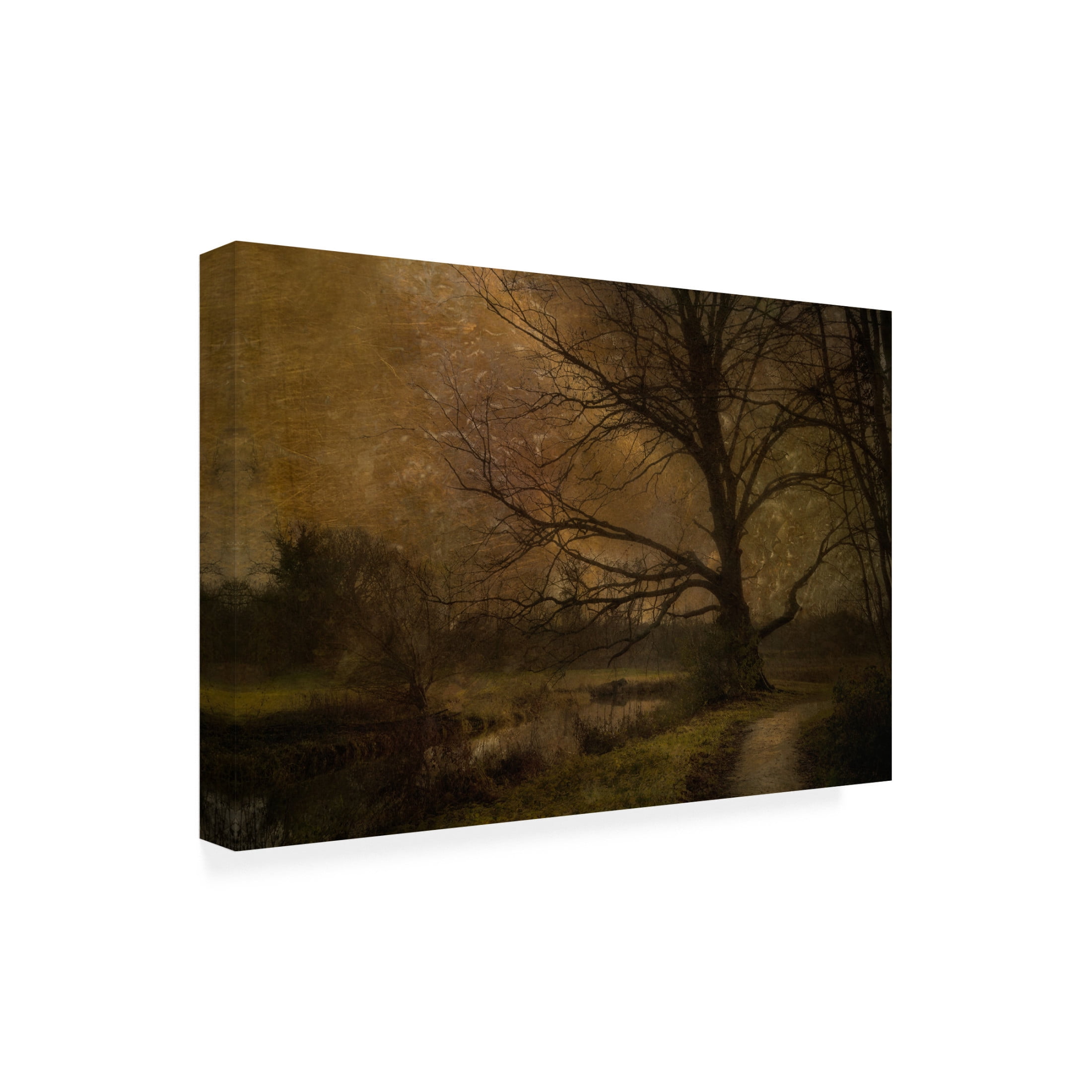 Canvas Wall Art - Katarina Holmstrom 'Old Tree' Wall Art for Living Room, Bedroom, or Office Décor by Trademark Fine Art - 24 x 16 Inches