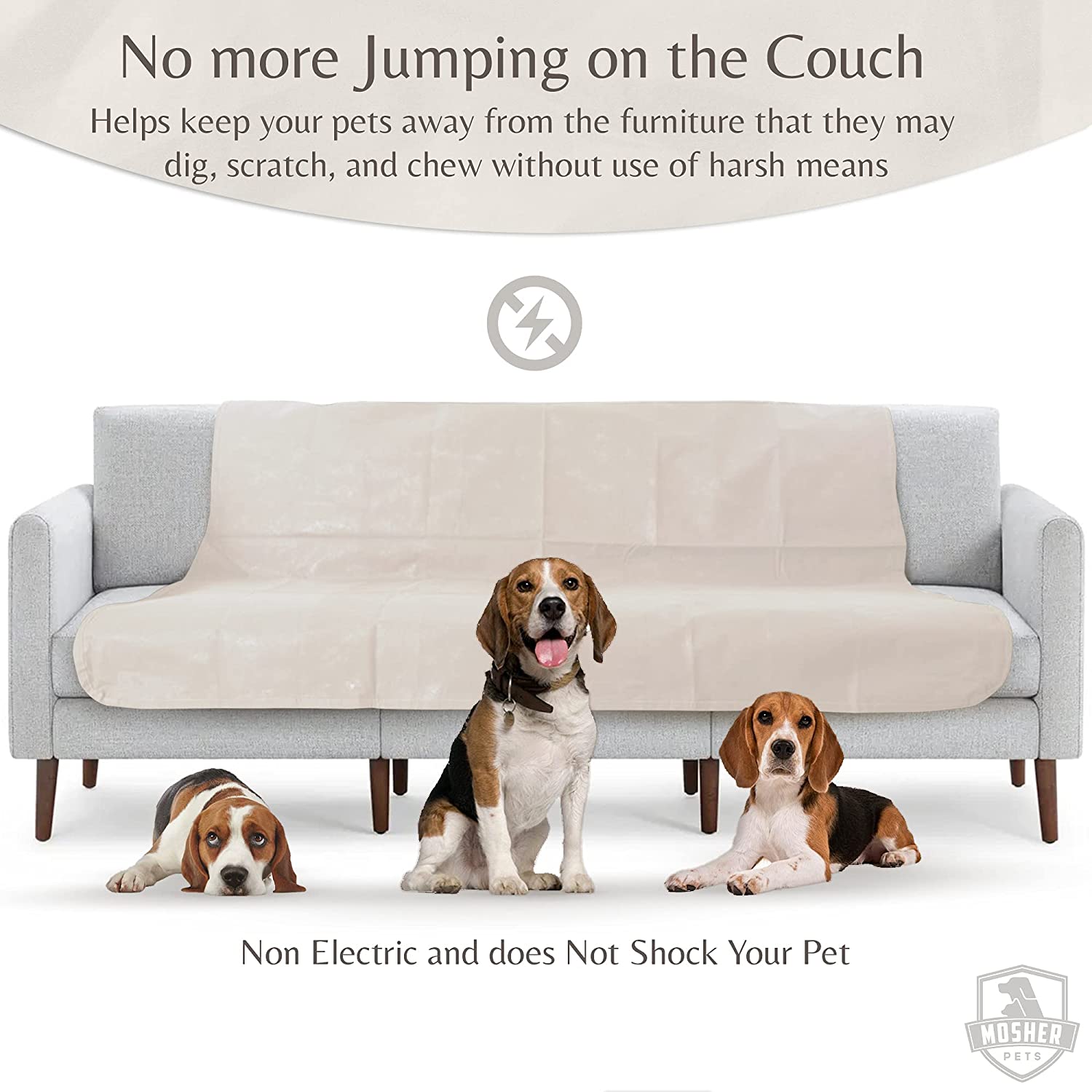 keep your dog off the couch