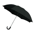 thumbnail image 1 of Umbrella Rainbrella, 2 pliegues, se abre automáticamente con funda de almacenamiento, color negro, 1 of 1
