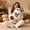 A, variant on Halloween Ghost Throw Pillow, 18X18 Inch Halloween Throw Pillow with Pillow Core, Cute Pillow Soft Plush Faux Fur Decorative, Throw Pillows Ghost Decorations Decor Indoor