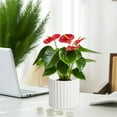 thumbnail image 2 of WSZZL Modern Plastic Flower Vase for Home Decoration, Sleek Planter Pot for Living Room, Office, or Wedding Centerpiece - Ideal for Fresh or Dried Flowers, Perfect Gift for Any Occasion, 2 of 4